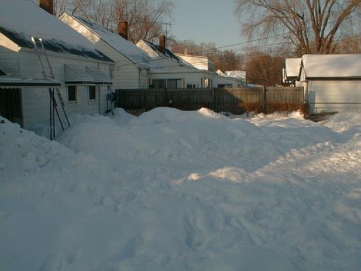 1999-01-04.pond.snow_covered.2.redford.mi.us 