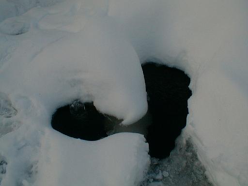 1999-01-04.pond.snow_covered.3.bubbler.redford.mi.us 