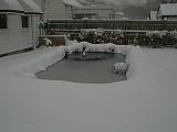 1999-01-04.pond.snow.1.redford.mi.us.jpg
