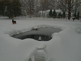 1999-01-04.pond.snow.2.redford.mi.us.jpg