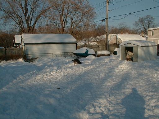 1999-01-17.schone.winter.backyard.5.redford.mi.us 