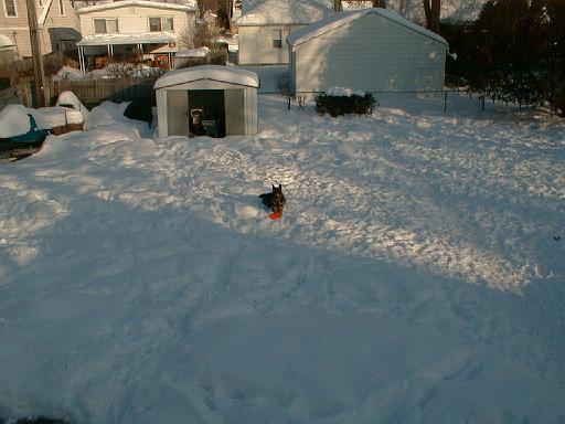 1999-01-17.schone.winter.backyard.aerial_shot.1.redford.mi.us 