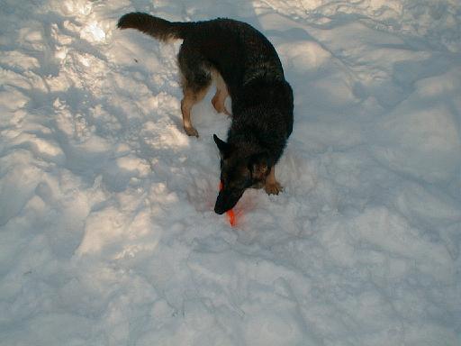 1999-01-17.schone.winter.frisbee.1.redford.mi.us 
