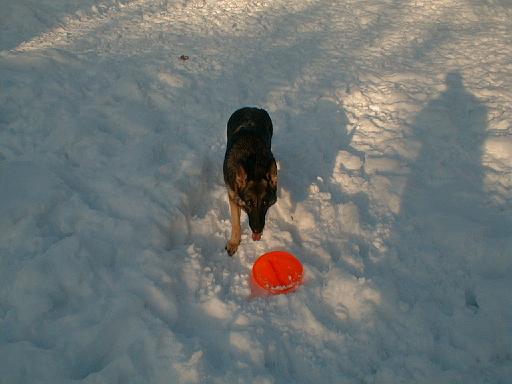 1999-01-17.schone.winter.frisbee.2.redford.mi.us 