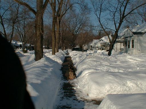 1999-01-17.schone.winter.sidewalk.1.redford.mi.us 