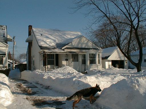 1999-01-17.schone.winter.sidewalk.2.redford.mi.us 