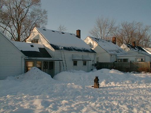 1999-02-01.schone.winter.backyard.1.redford.mi.us 
