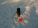 1999-01-17.schone.winter.frisbee.2.redford.mi.us.jpg