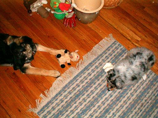 2003-00-00.reisa-sidnee.lying_down.1.redford.mi.us 