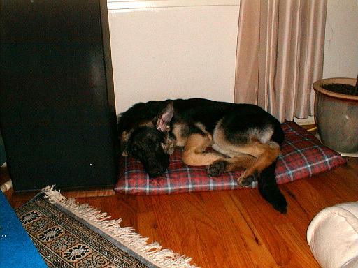 2003-00-00.reisa.lying_down.4.redford.mi.us 