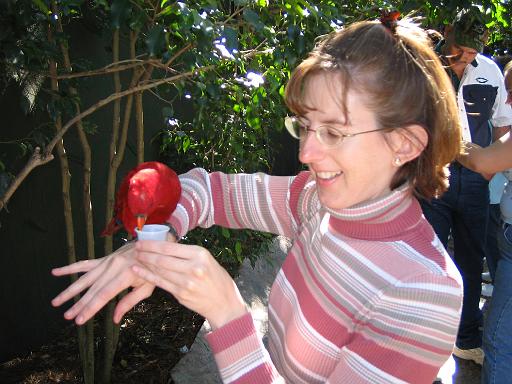 2004-12-27.aviary.nancy-snyder.1.busch_gardens.tampa.fl.us 