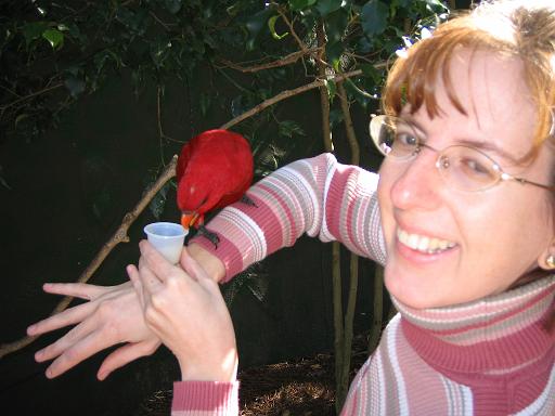 2004-12-27.aviary.nancy-snyder.2.busch_gardens.tampa.fl.us 
