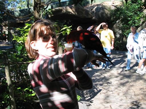 2004-12-27.aviary.nancy-snyder.3.busch_gardens.tampa.fl.us 