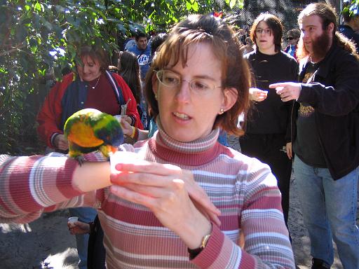 2004-12-27.aviary.nancy-snyder.4.busch_gardens.tampa.fl.us 
