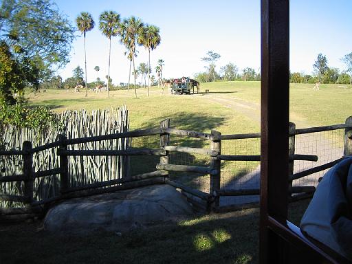 2004-12-27.safari_area.people.caged.animals.free.1.busch_gardens.tampa.fl.us 
