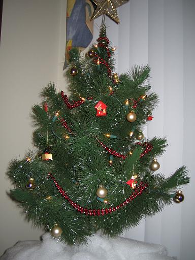 2004-12-25.condo.christmas.tree.venice.fl.us 