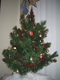 2004-12-25.condo.christmas.tree.venice.fl.us.jpg