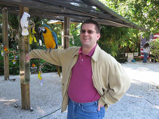 2006-12-27.bird.posing.kevin-snyder.1.jungle_gardens.sarasota.fl.us 