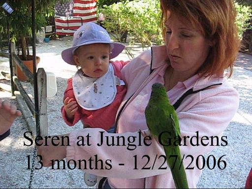 2006-12-27.jungle_gardens.baby_13_months.seren-snyder.video.720x480-69meg.sarasota.fl.us 