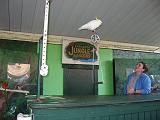2006-12-27.bird_show.bird.4.jungle_gardens.sarasota.fl.us.jpg