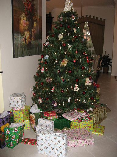 2006-12-25.opening_presents.2.christmas.venice.fl.us 