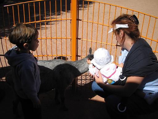 2006-10-24.petting_zoo.matthew-nessa-seren-snyder.1.animal_kingdom.orlando.fl.us 