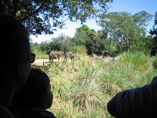 2006-10-24.safari.4.animal_kingdom.orlando.fl.us 