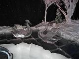 2007-12-23.ice_sculpture_show.gaylord_palms.03.orlando.fl.us.jpg