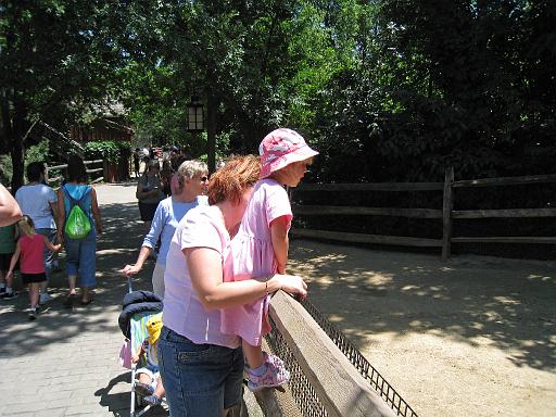 2008-06-30.zoo.09.nessa-sandy-ronan-seren-snyder.cincinnati_zoo.oh.us 