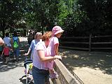 2008-06-30.zoo.09.nessa-sandy-ronan-seren-snyder.cincinnati_zoo.oh.us.jpg