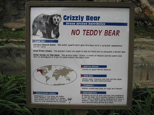 2006-06-02.grizzly_bear.0.detroit_zoo.mi.us 