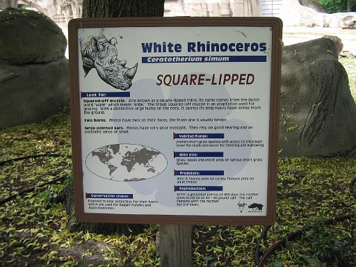 2006-06-02.rhinoceros.0.detroit_zoo.mi.us 