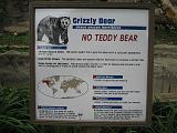 2006-06-02.grizzly_bear.0.detroit_zoo.mi.us.jpg