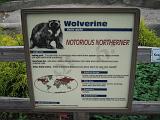 2006-06-02.wolverine.0.detroit_zoo.mi.us