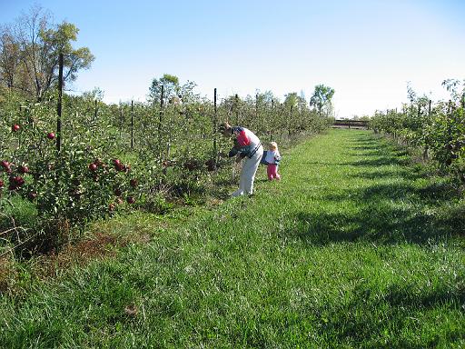 2007-10-09.farm.orchard.apple.15.seren-snyder-sandy.plymouth.mi.us 