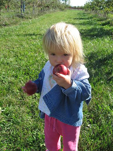 2007-10-09.farm.orchard.apple.18.seren-snyder-sandy.plymouth.mi.us 
