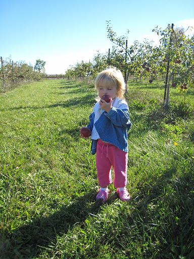 2007-10-09.farm.orchard.apple.19.seren-snyder.plymouth.mi.us 