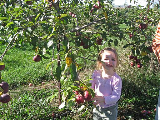 2007-10-09.farm.orchard.apple.23.alex.plymouth.mi.us 