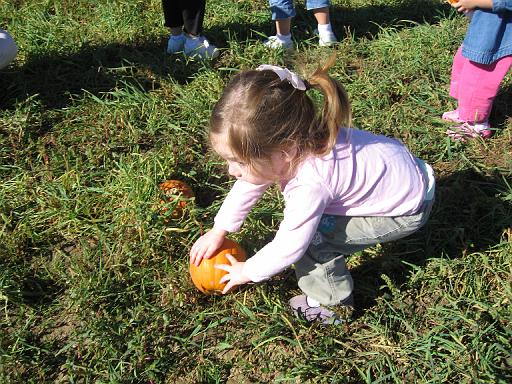 2007-10-09.farm.pumpkin_patch.29.alex.plymouth.mi.us 