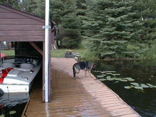 1999-08-24.dock.schone.1.lake_cabin.cook.mn.us 