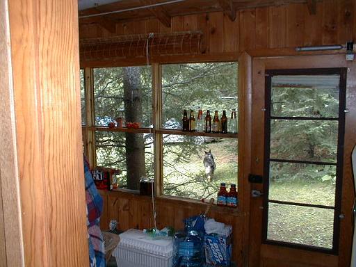 1999-08-24.porch.3.lake_cabin.cook.mn.us 