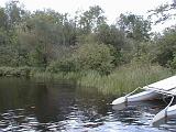 1999-08-24.hobie_cat.creek.lake_cabin.cook.mn.us.jpg