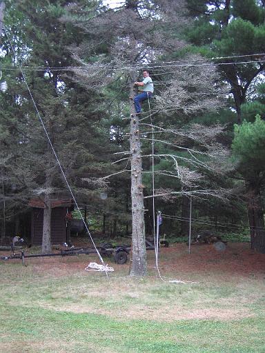 2005-08-21.dead_tree.cutting.down.3b.lumberjack.kevin-snyder.fav.lake_cabin.cook.mn.us 