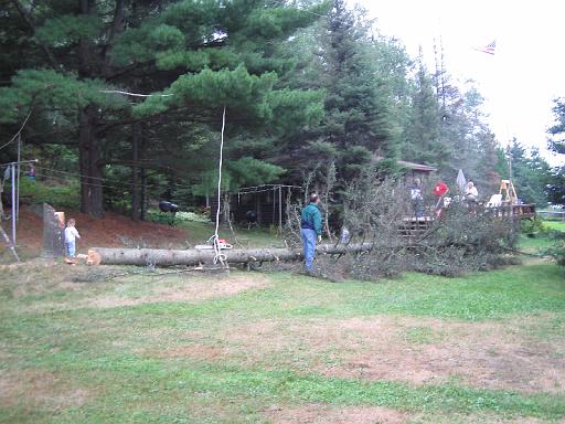 2005-08-21.dead_tree.cutting.down.6.felled.lake_cabin.cook.mn.us 