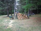 2005-08-21.dead_tree.cutting.down.7.felled.lake_cabin.cook.mn.us.jpg