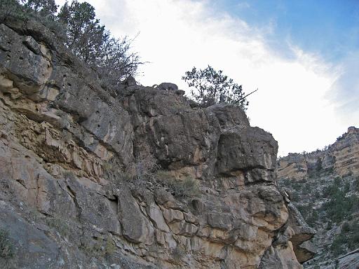 2007-11-17.canyon_return_ascent.bright_angel_trail.112.big_horn_sheep.grand_canyon.az.us 