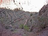 2007-11-17.canyon_return_ascent.bright_angel_trail.047.grand_canyon.az.us.jpg