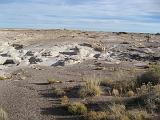 petrified_forest_painted_desert