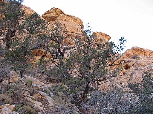 2007-11-24.calico_tanks_trail.26.red_rock_canyon.nv.us 