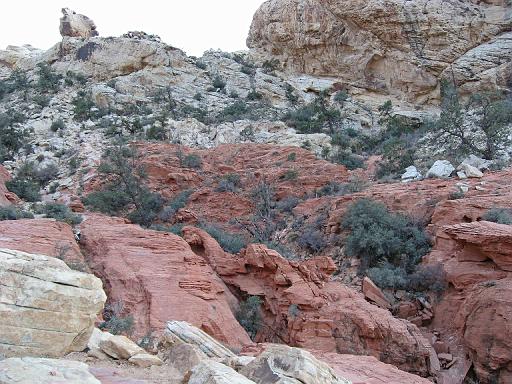 2007-11-24.calico_tanks_trail.63.red_rock_canyon.nv.us 